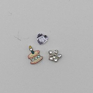 Origami Owl Birthday Princess Charm Set